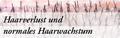 Haarverlust und normales Haarwachstum